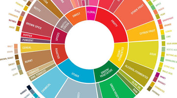Explore the flavours of coffee at home or your local coffee spot