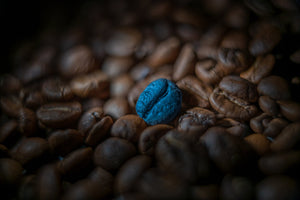 The Blue Bean Coffee Co.